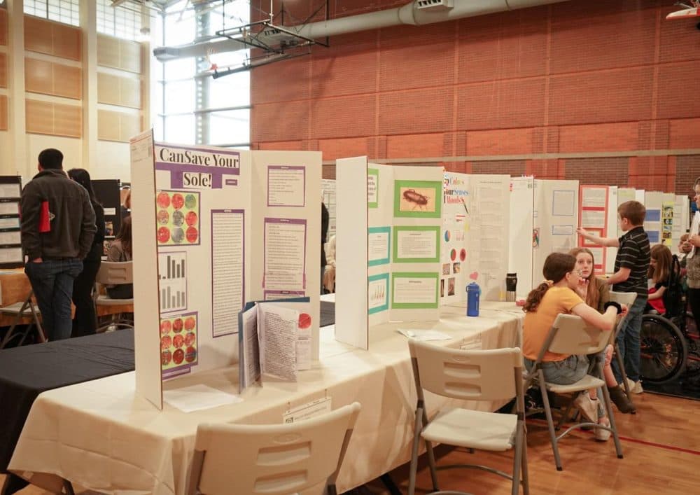 A school science fair in a gymnasium, with trifold boards set out along a row of tables.
